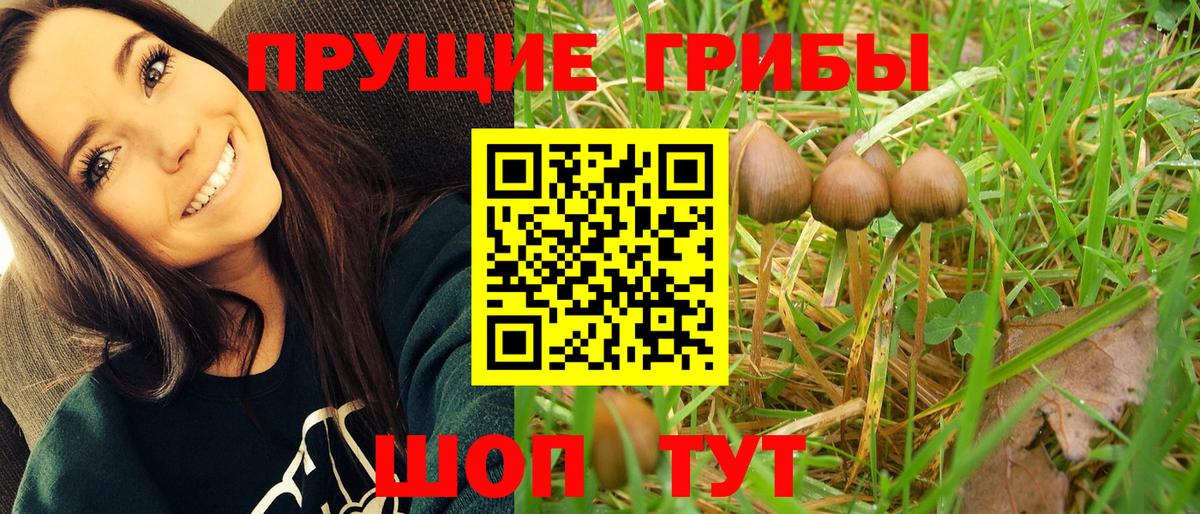 Галлюциногенные грибы ЛСД Азов